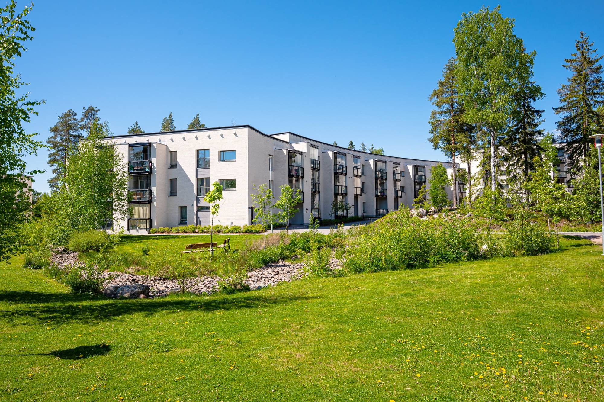 Tähtisaranpolku 3, kuva 2