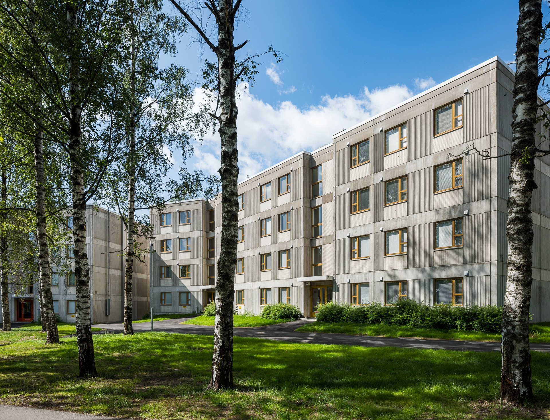 Viulutie, image 2