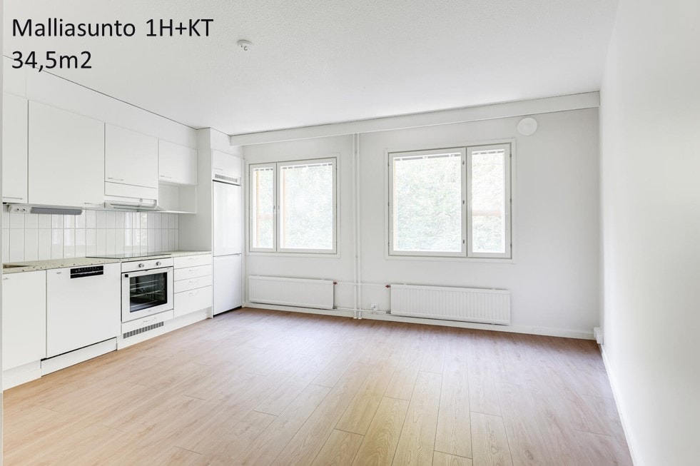 Viulutie, image 7
