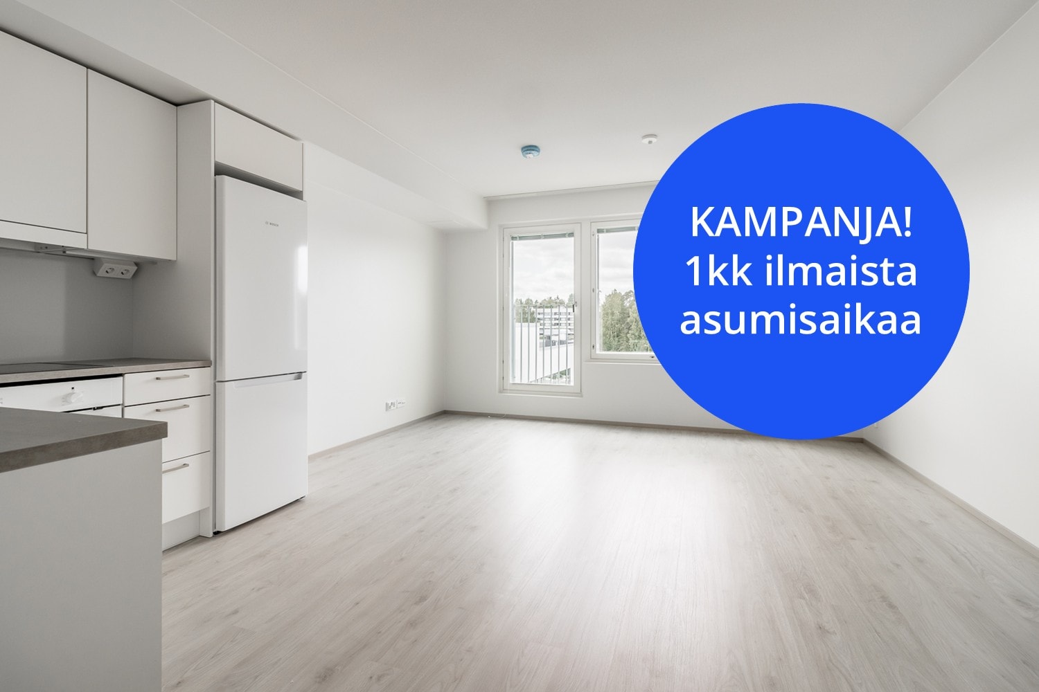 Yliskylän puistokatu 11, kuva 1
