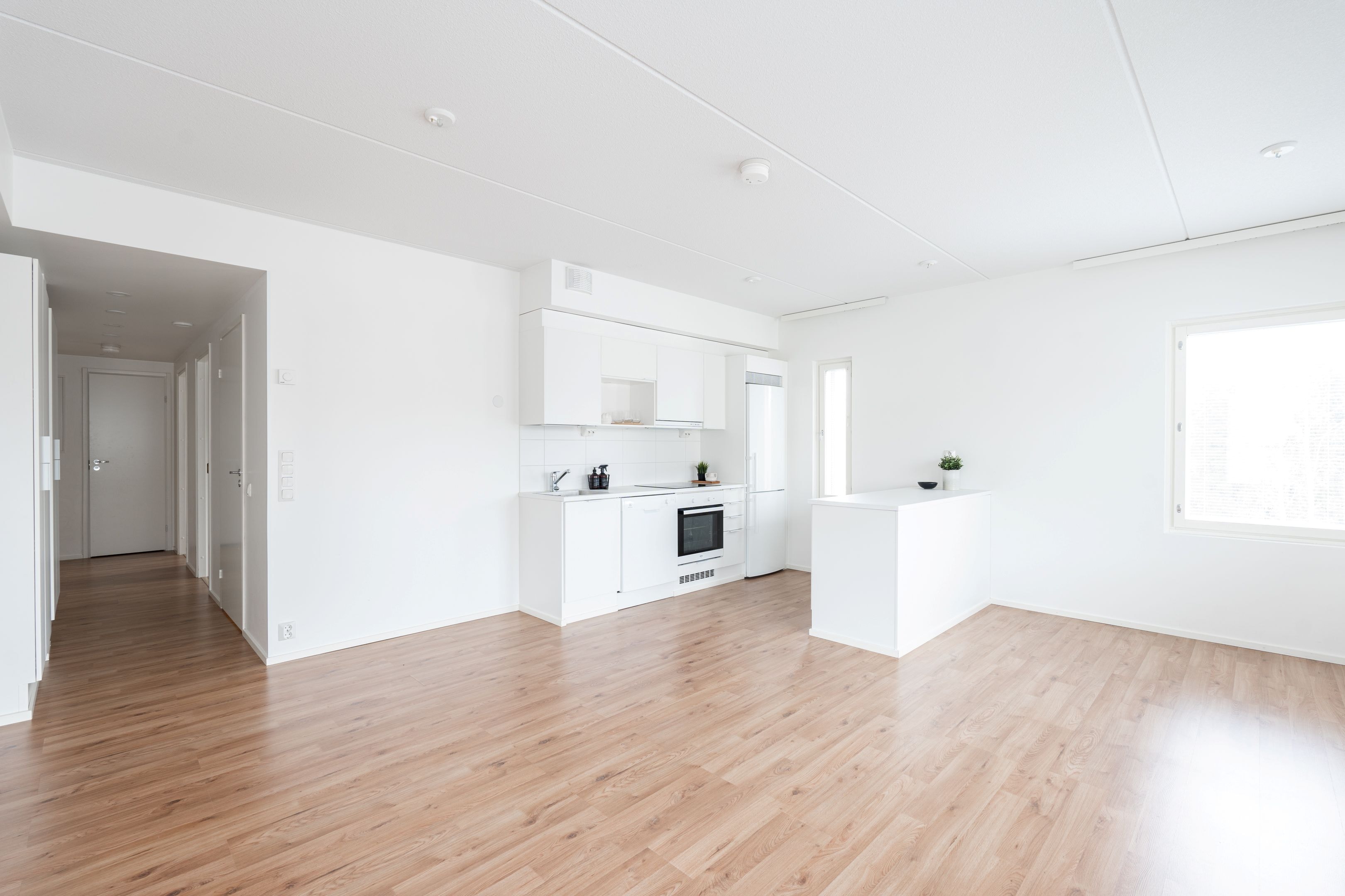 Välskärinkatu 29, kuva 6