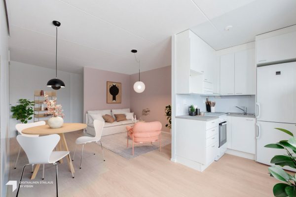 Valtuustokatu 6, maalauskampanja