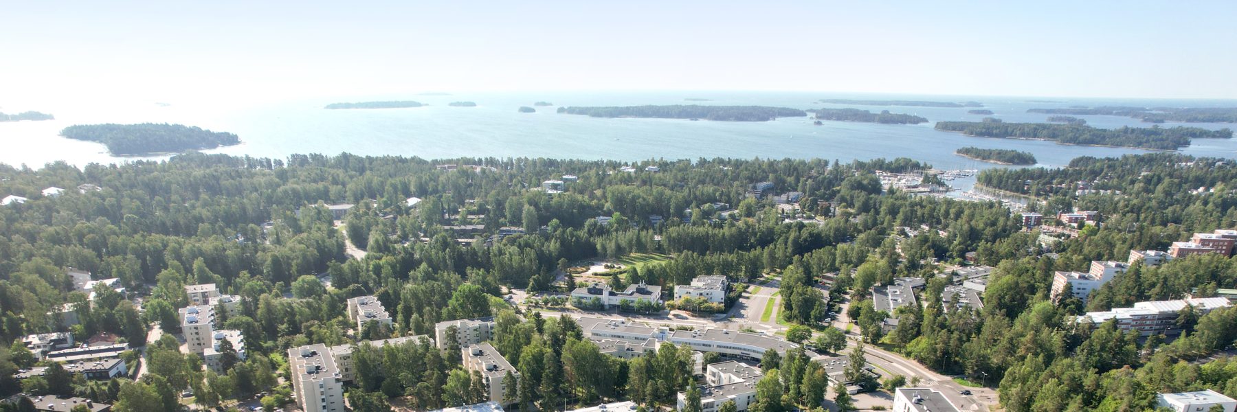 Kiiskenevä verkkovuokraus