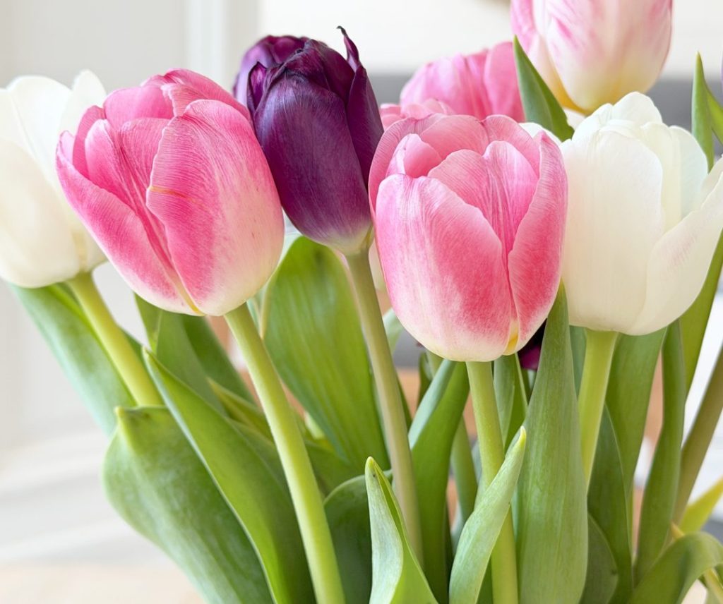 Asukasuutiskirje kevät 2026