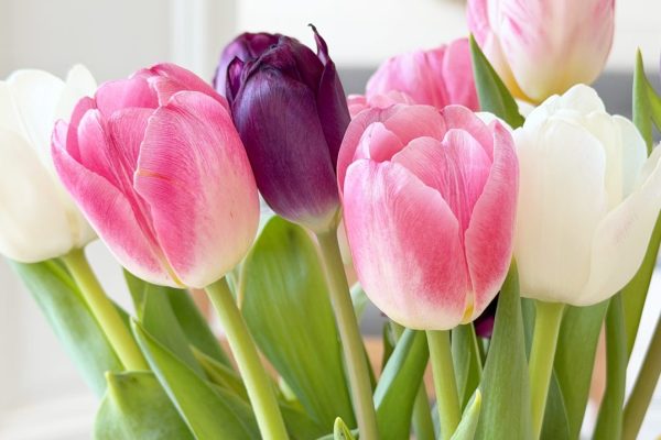 Asukasuutiskirje kevät 2026